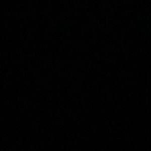 Meet your Posher, Shaina